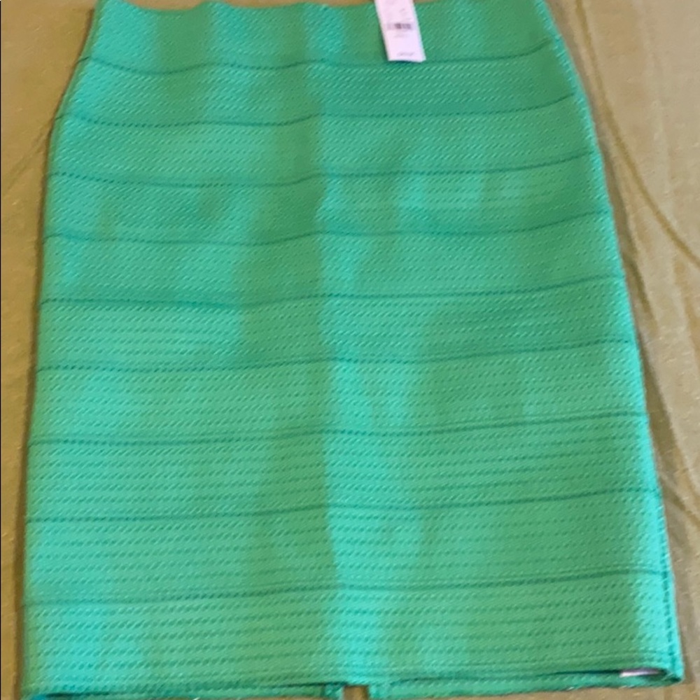 New York company Skirt (new)